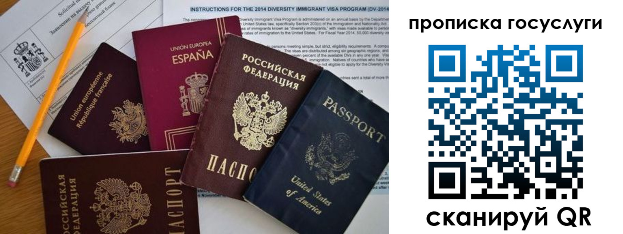 прописка гарантия в Коммунаре